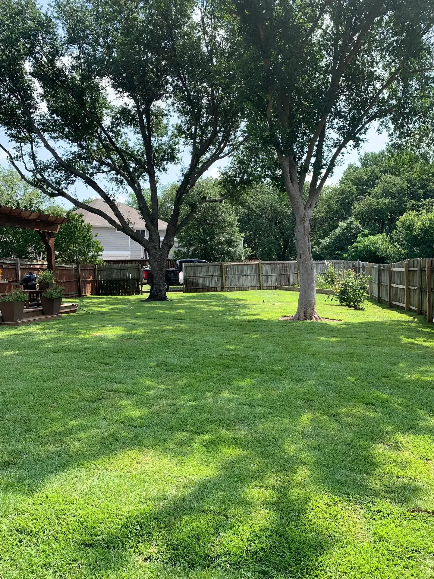 finished backyard sod and pergola