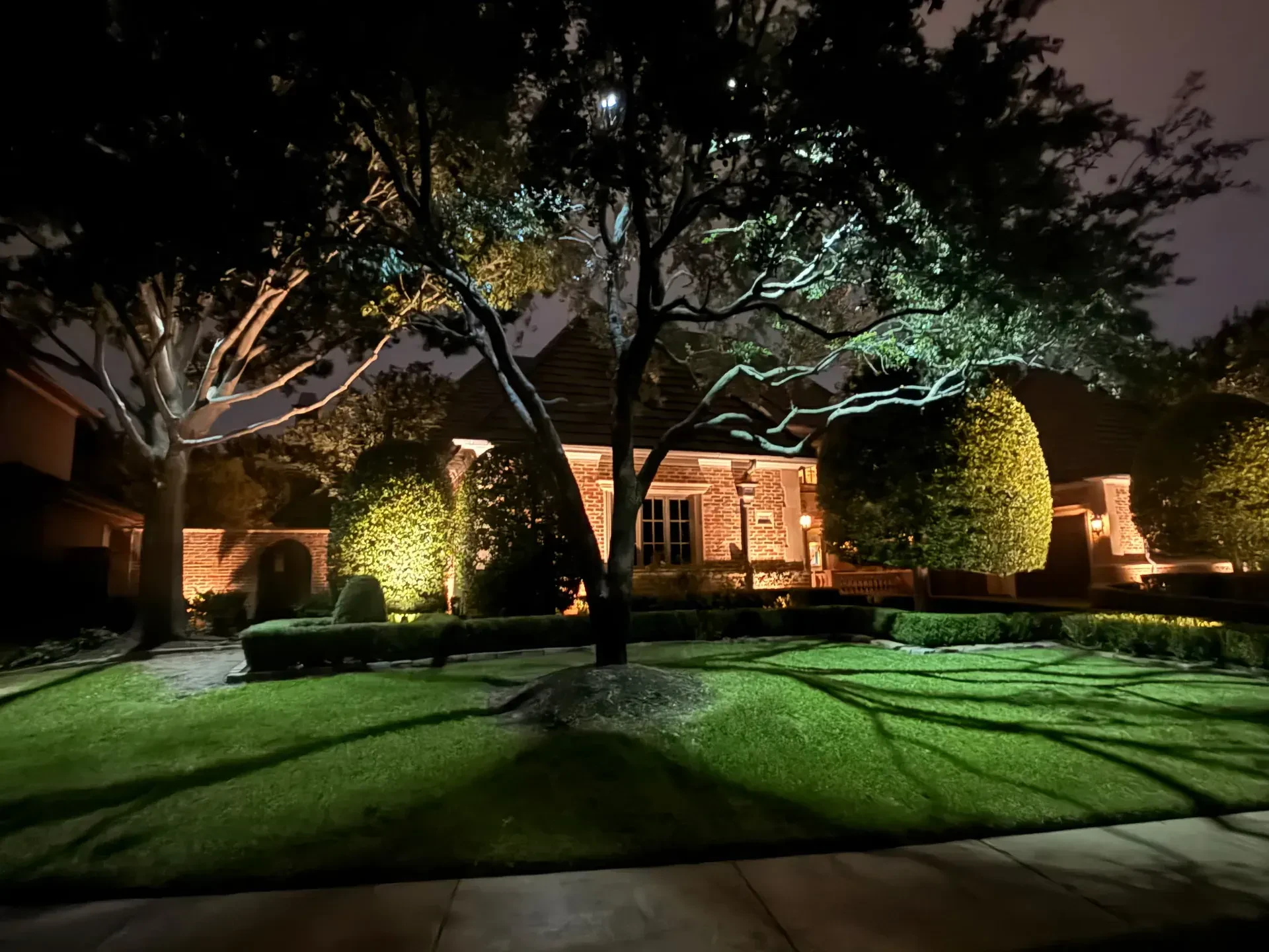 tree and front garden lighting at night