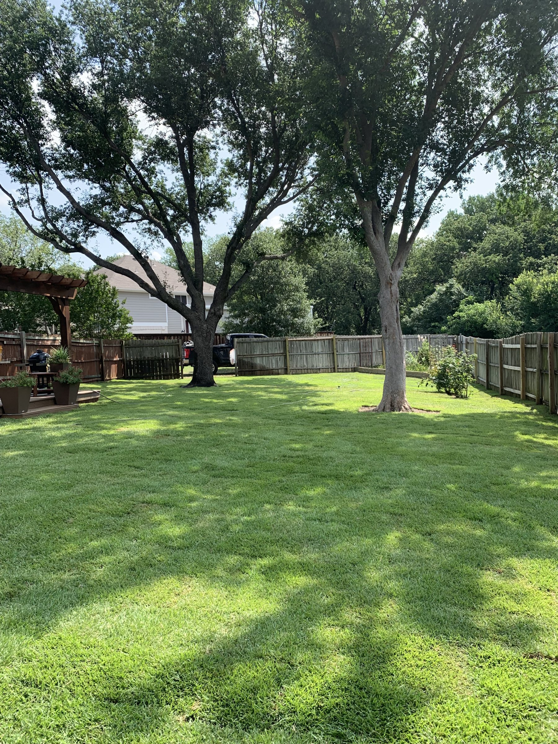 Lush Zoysia backyard lawn installed by All Green Landscapes